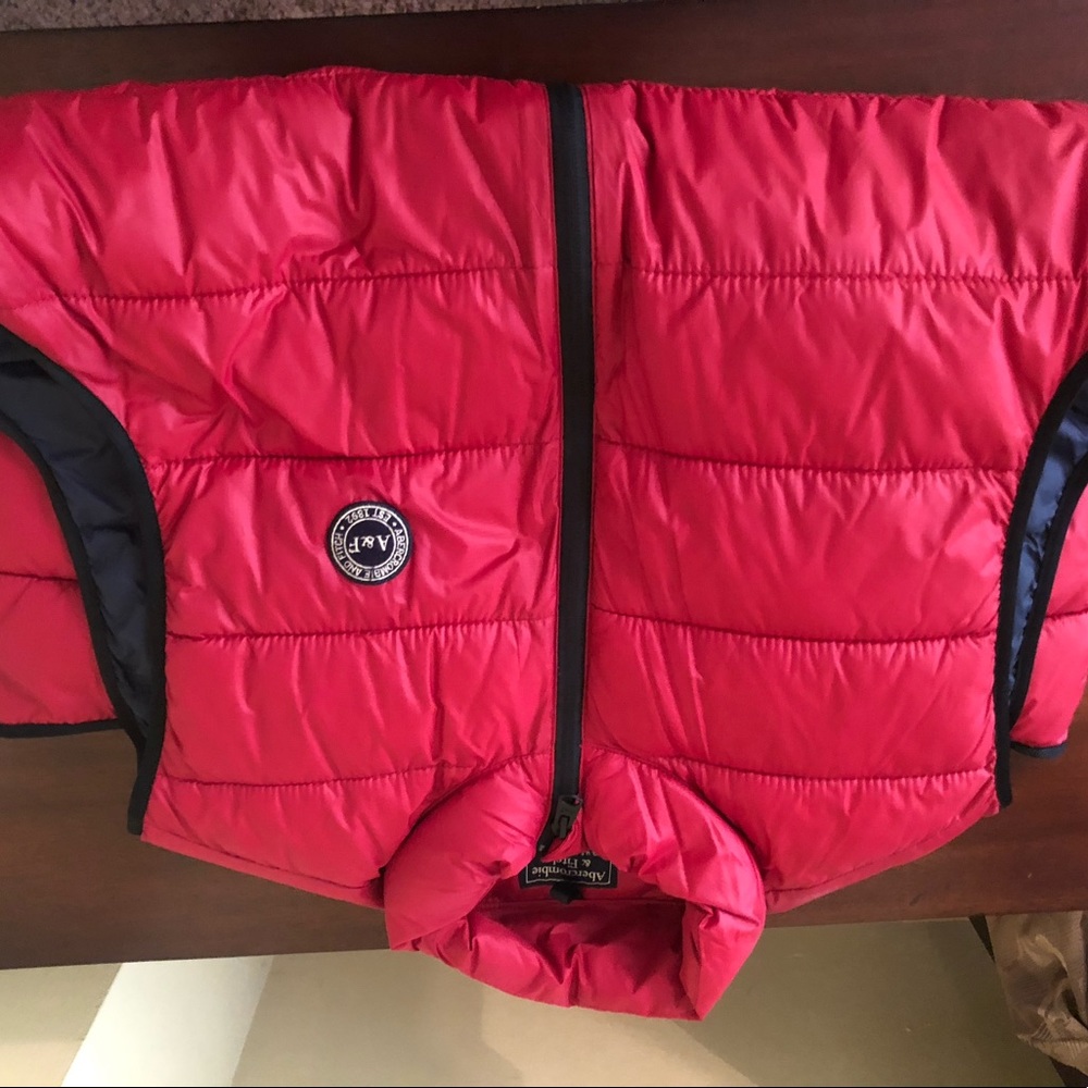 Men’s Abercrombie and Fitch vest